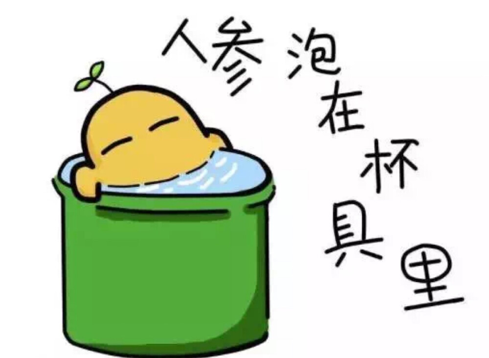 人参泡在杯具里