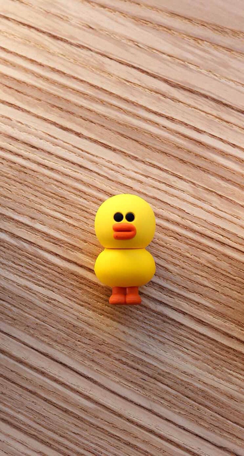 sally on the wooden desk line friends 高清壁纸首发