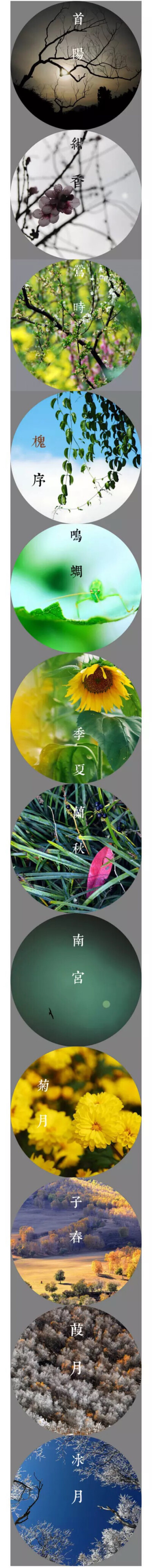 【十二月花香】一月首阳，二月绀香，三月莺时，四月槐序，五月鸣蜩，六月季夏，七月兰秋，八月南宫，九月菊月，十月子春，十一月葭月，十二月冰月。