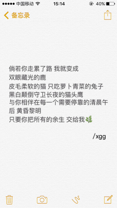 非原 文字 备忘录 /欣勾勾