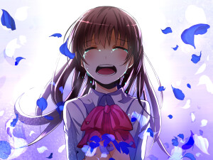 don't cry !