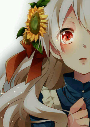 don't cry !