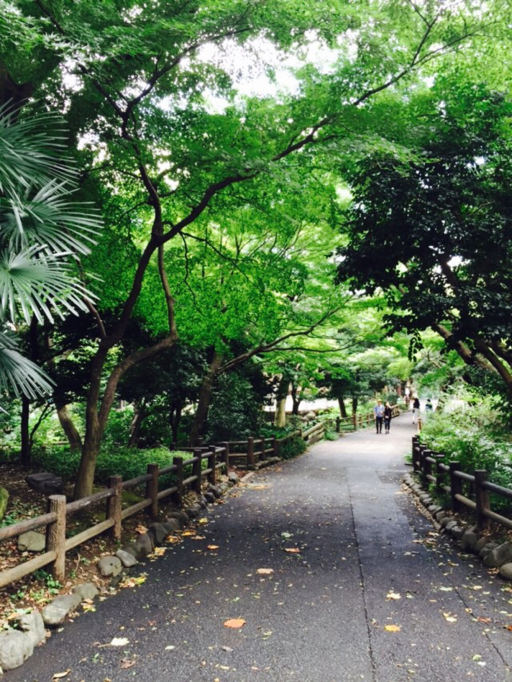 上野动物园