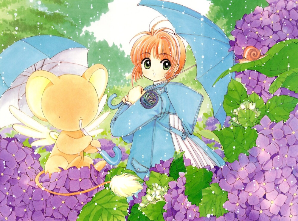 百变小樱❀魔卡少女樱❀Cardcapter Sakura