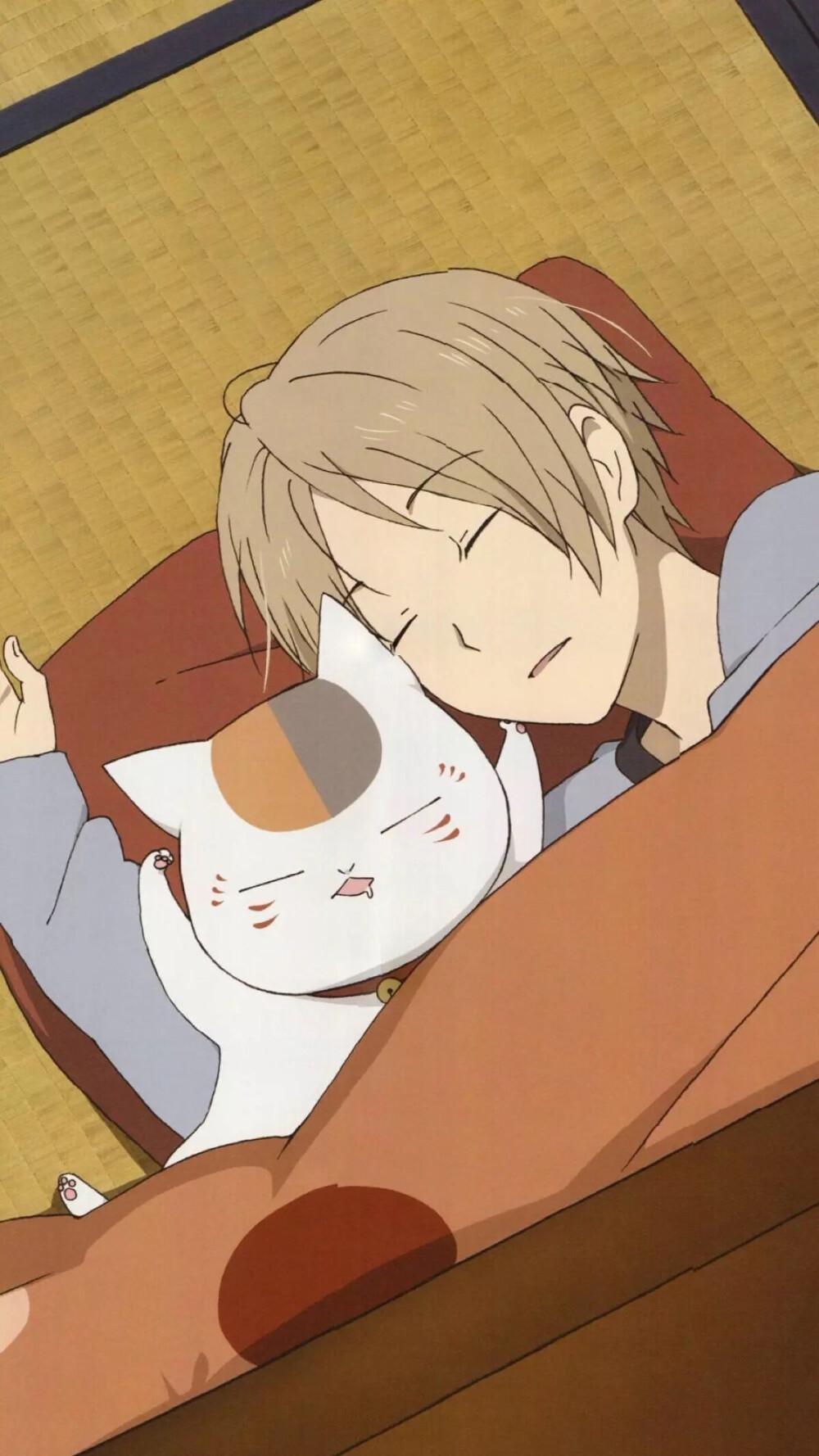 猫老师