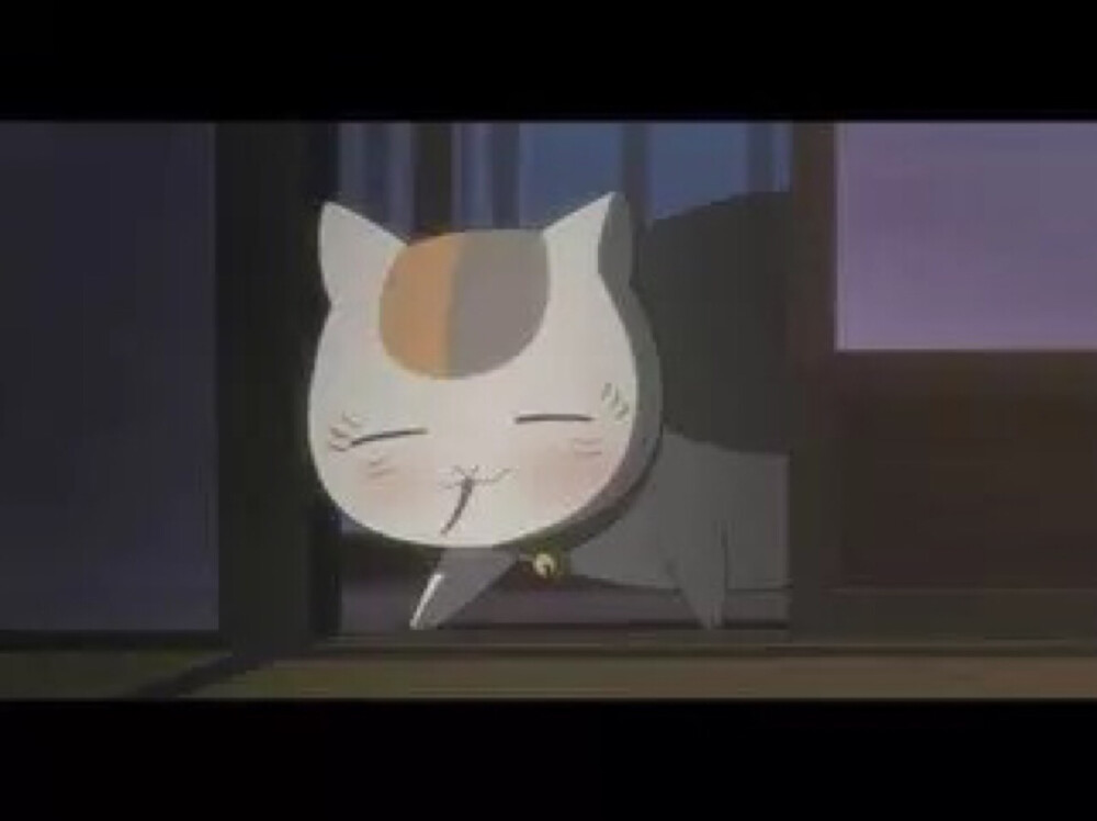 猫老师