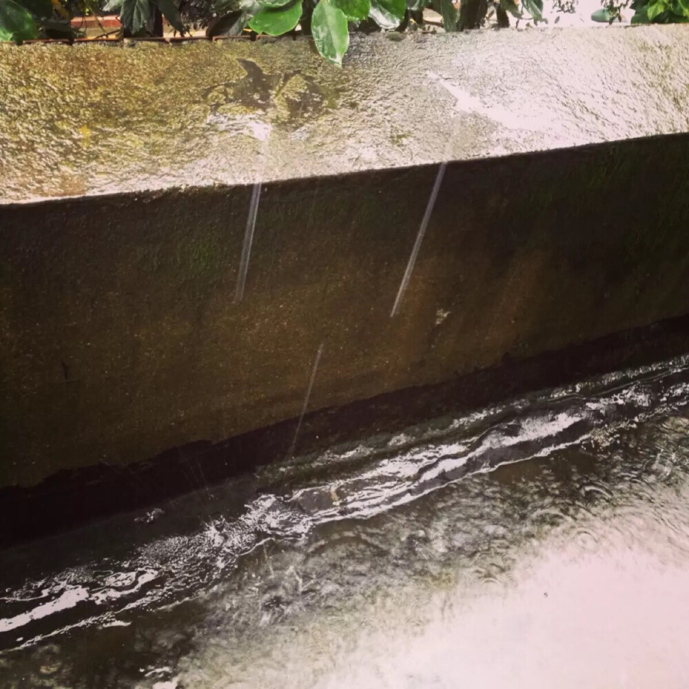 并不是只有磅礴大雨会淋湿衣服 绵绵细雨也会 就像并不是只有轰轰烈烈的爱情才是爱情。