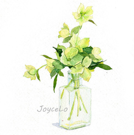 我希望，来生，我可以以一朵花的姿态行走，花开成景，花落成诗——Joycelo