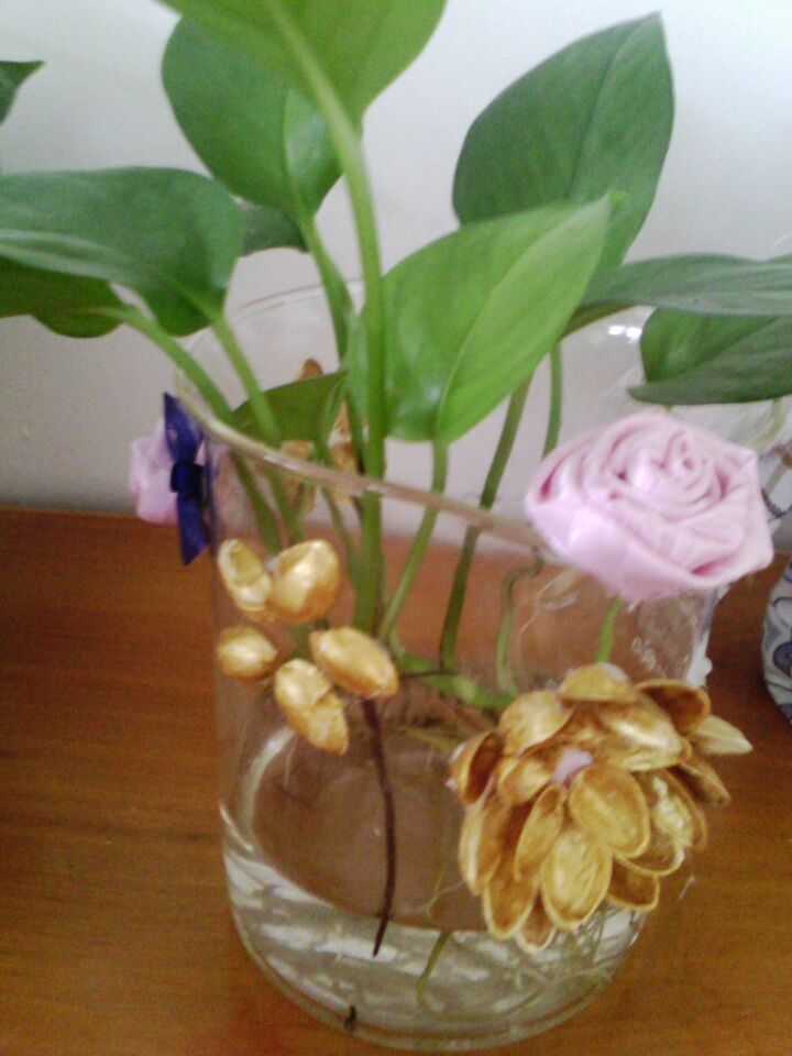 1.开心果涂上丙烯金色颜料，然后把干后的开心果拼成花瓣,用绸带做两个花朵，2.把这些用胶枪粘到杯子上。3、杯内盛上水，放入绿萝。喜欢的朋友收藏下，赞一下啊。