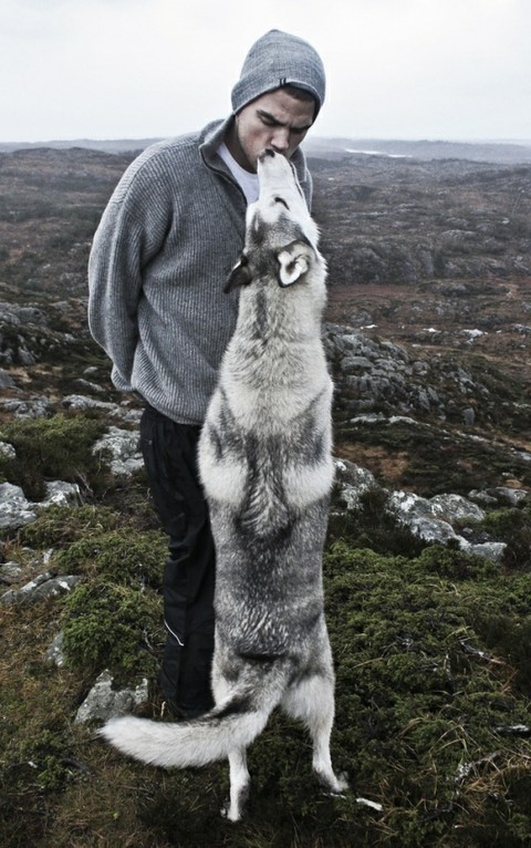 爱喵星，爱汪星