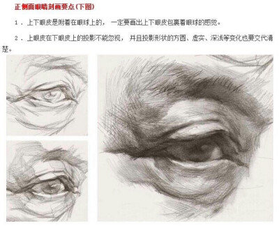 素描眼部