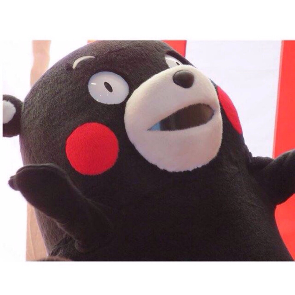 啊～熊本熊 kumamon