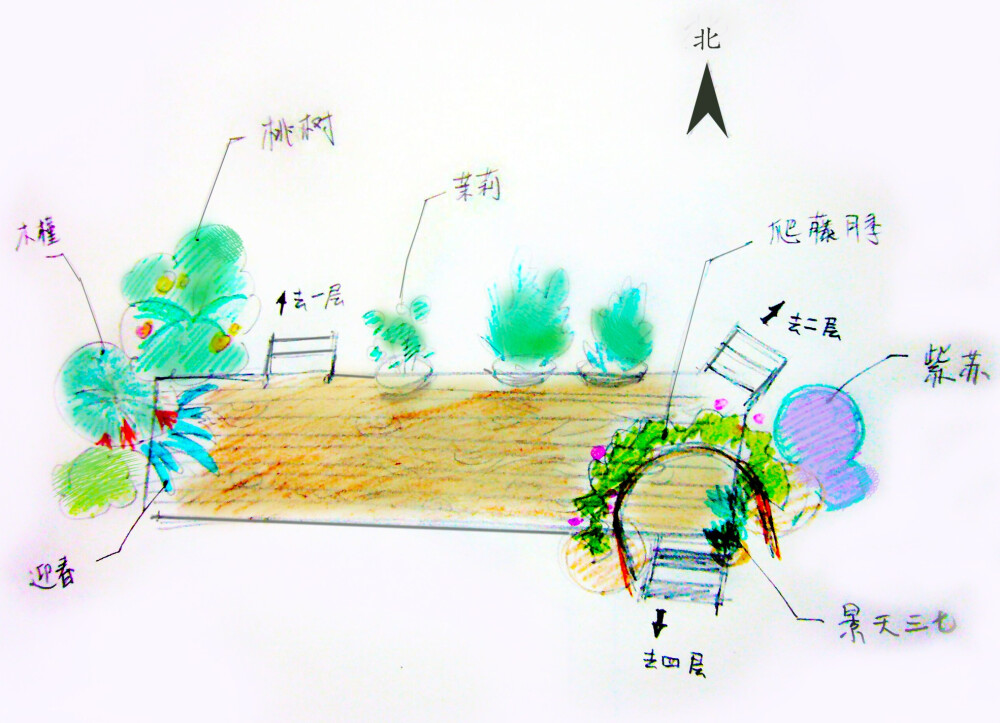 药用花卉在空中花园的布局