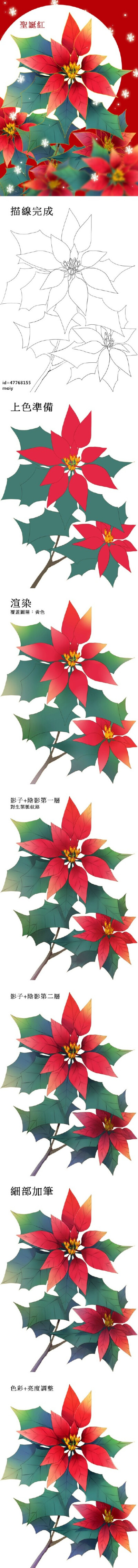 【via微博 SAI资源库】绘师moiy的花卉教程合集 圣诞红