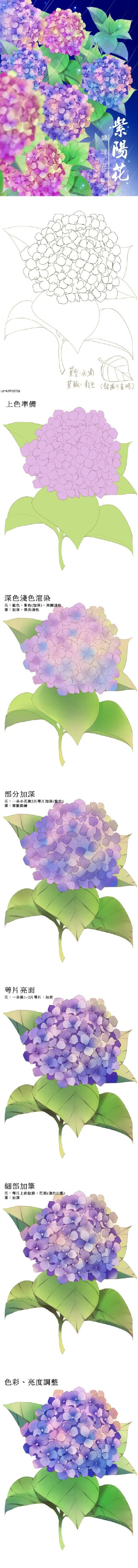 【via微博 SAI资源库】绘师moiy的花卉教程合集 紫阳花