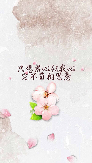 只愿君心似我心，定不负相思意