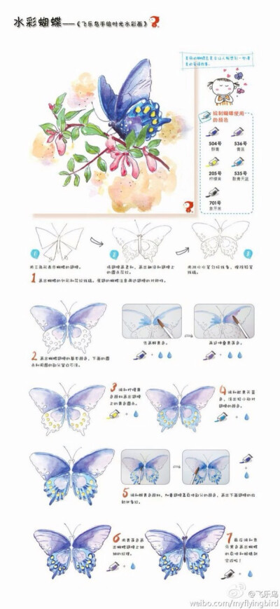 水彩 蝴蝶 绘画 教程