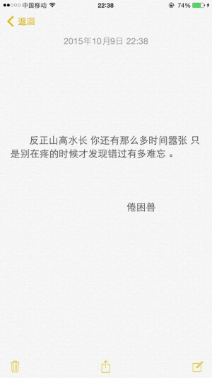 备忘录【你从风里来 洗净我尘埃】文字壁纸 情话语录 爱情 文艺 by倦困兽_