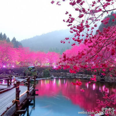 一眼望去满眼的红色