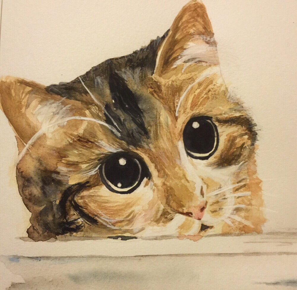 水彩猫