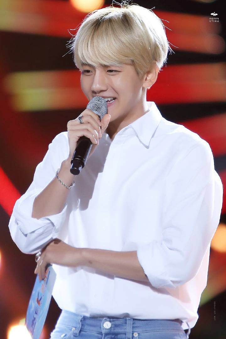 白衣边伯贤卞白贤exo