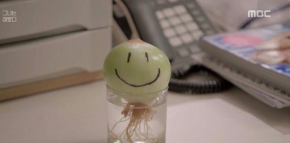 很多事情其实可以不是本身的问题哦，可以是改变环境就解决的，所以我一定要加油，坚信，19的今天，突然闻到了成功的味道，高考失败后第一次释然的味道^^开心开心，下个星期可以去exo演唱会了哦，好像一切都变得好起来了呢~~