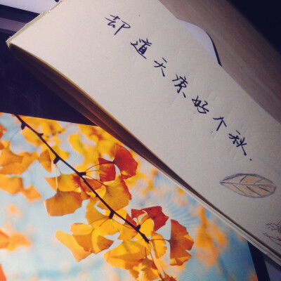 却道天凉好个球