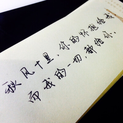 秋风十里，你在哪里