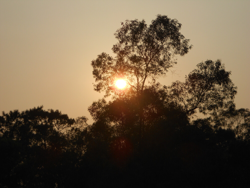 夕阳余晖