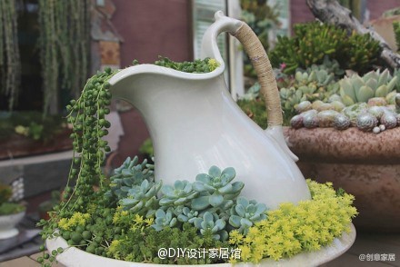 营造出花从倾倒的花盆中流出来的视觉效果,也能成为一道美丽的图画!
