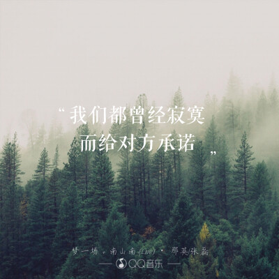 那英 张磊 《一场梦＋南山南》我们曾经寂寞 而给对方承诺（文字伤感 爱情 锁屏 键盘 壁纸 语录 歌词 短句 原创）