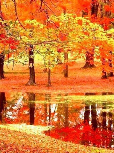 喜欢秋天成熟之美，它不像春那么妩媚，夏那么火热，冬那么含蓄。