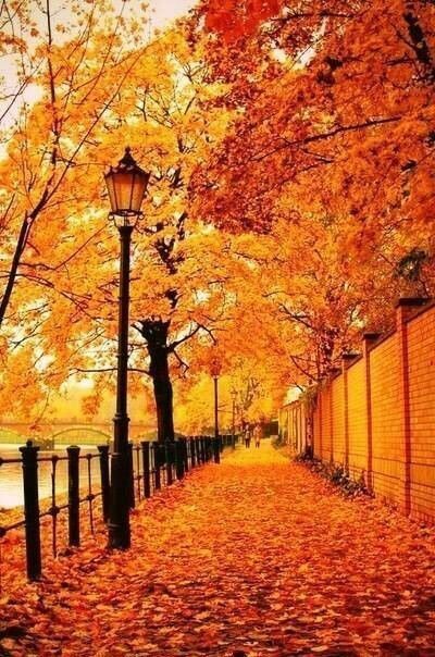 喜欢秋天成熟之美，它不像春那么妩媚，夏那么火热，冬那么含蓄。