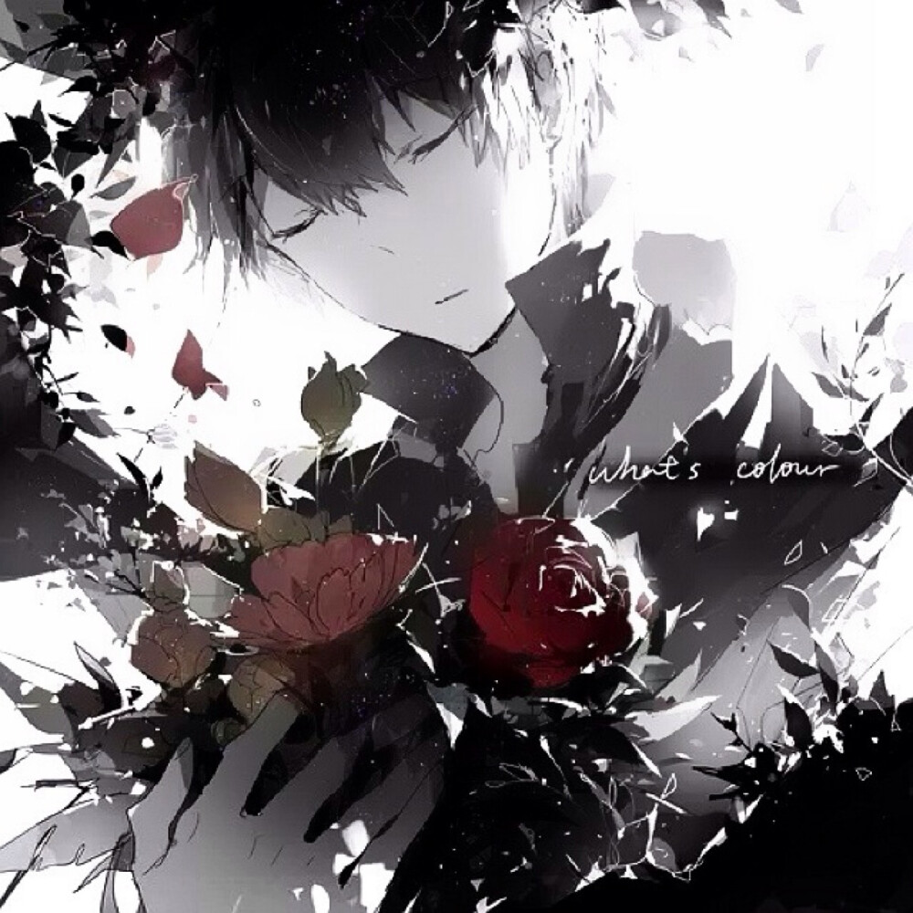 しゅーず～What's color