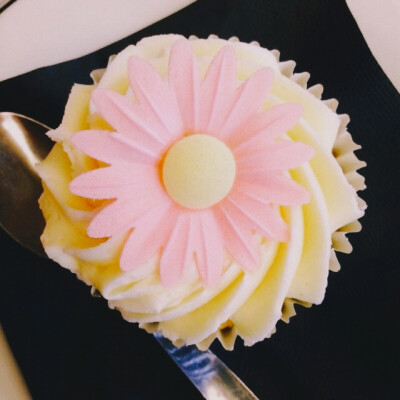 cup cake