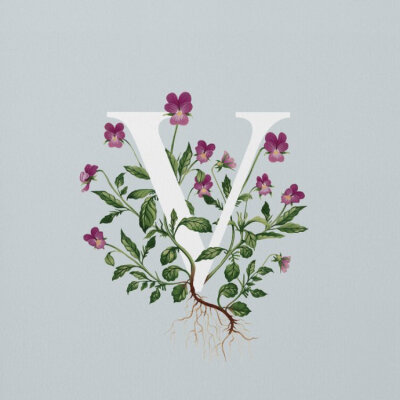 英国插画师Charlotte Day迷人花卉字母设计