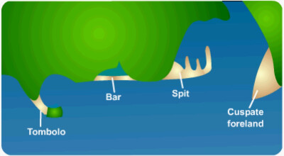 Features of coastal deposition