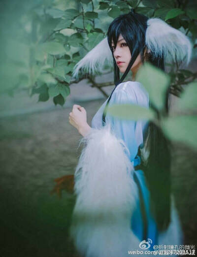 微博的#最美coser#因为图片量很多。我只挑了一部分。喜欢谁去看水印［当然也有人发的不是自己可以去看原微博找是谁CN］【我也很累拿图点个赞好吗？】BY洛忆君