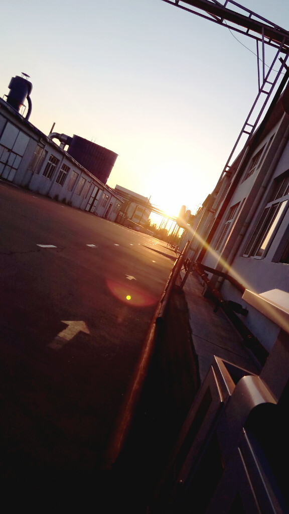 如今的你我！不会在像太阳一样，今晚落下！明早升起……