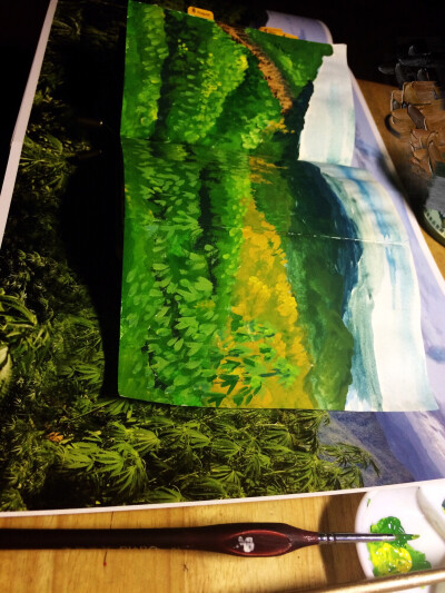 总会向往那一抹绿的(^○^)