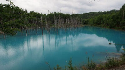 日本蓝色池塘，日本旅游必去景点攻略