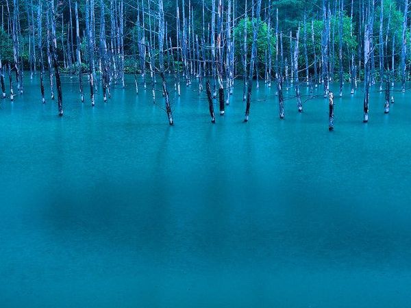 日本蓝色池塘，日本旅游必去景点攻略