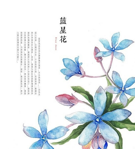 【 花语轻轻诉，情深传几何… 】· 罗雨舒／绘