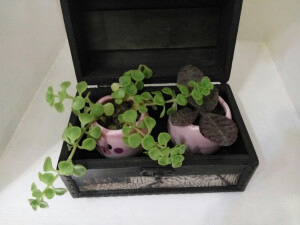 让人看上去很舒服