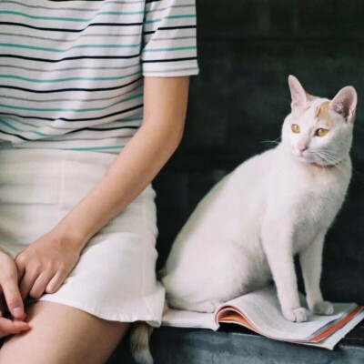 女生头像 女孩 猫 小清新 欧美 文艺