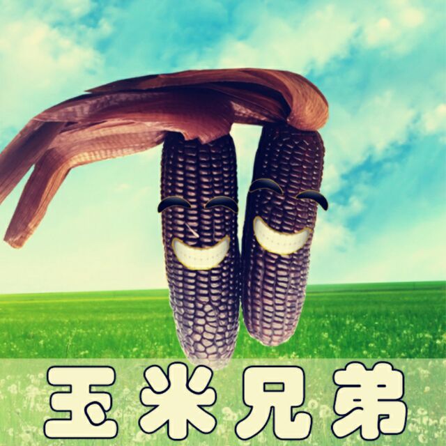 黑玉米