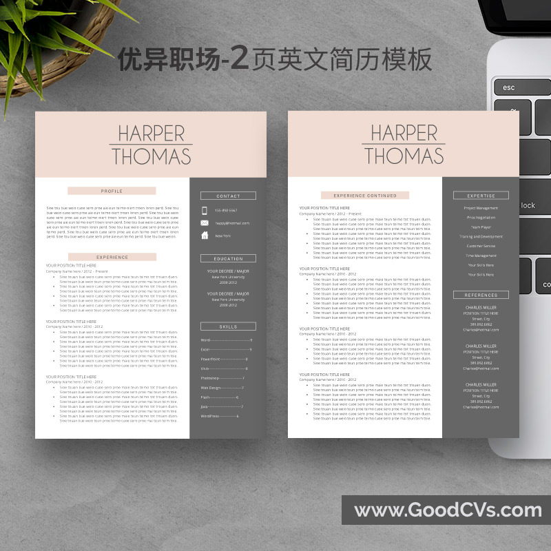 创意英文简历模板 | 简单易用个人简历模板 | 英文1页、2页模板与求职信、感谢信