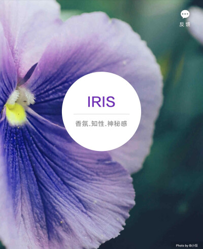 淘宝色彩购——IRIS