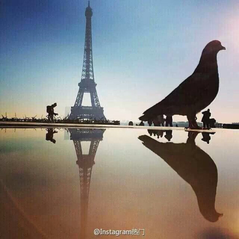 Eiffel Tower - Paris - France