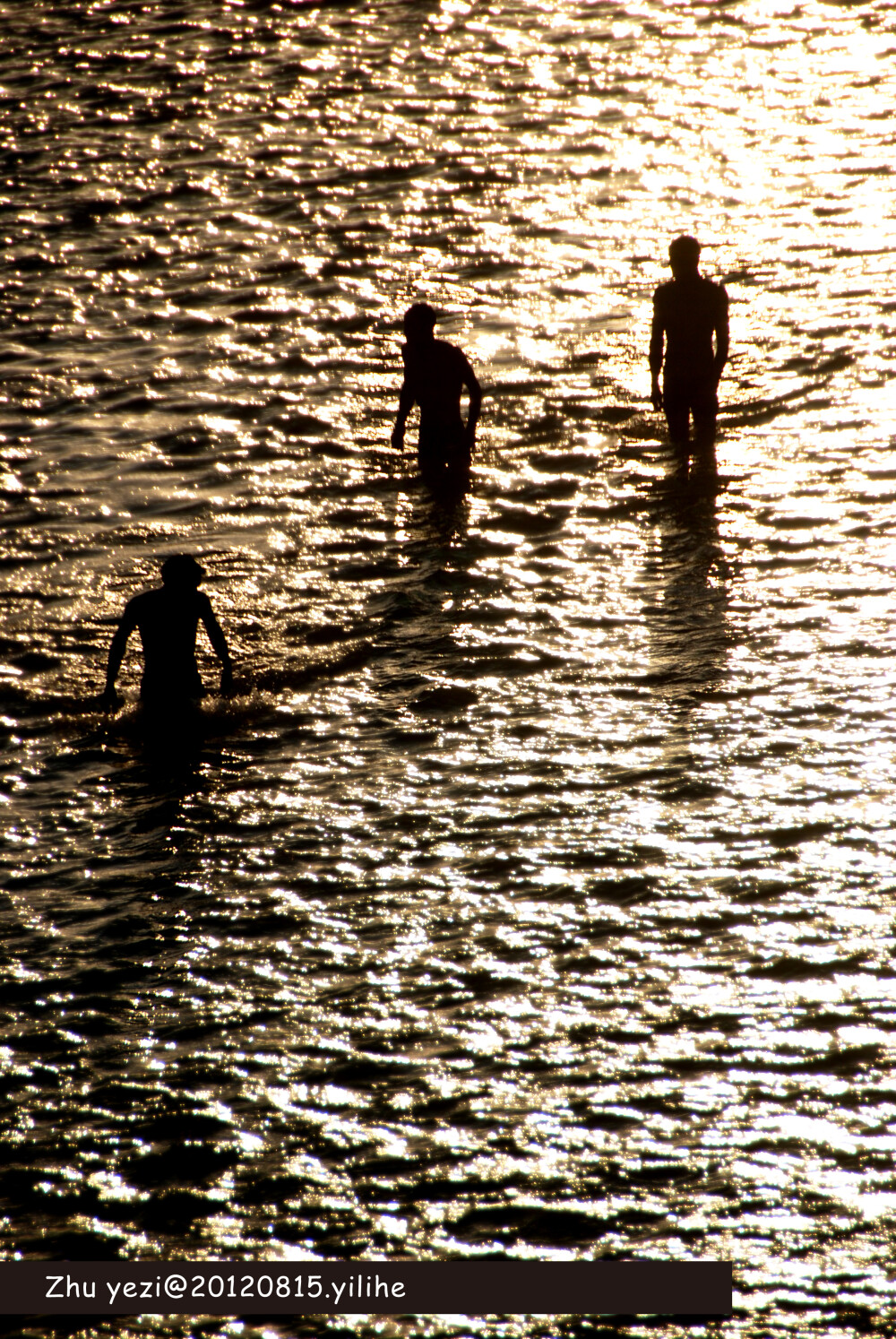 伊犁河上的嬉戏